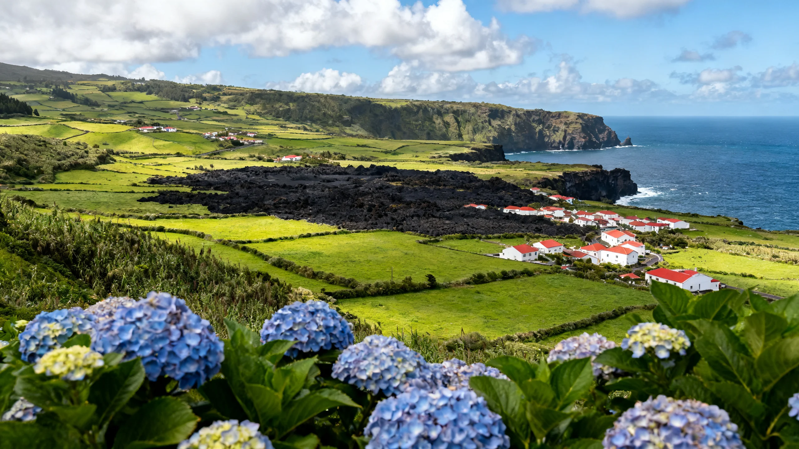 Wide landscape view of São Miguel with green pastures, black cliffs, and hortensias