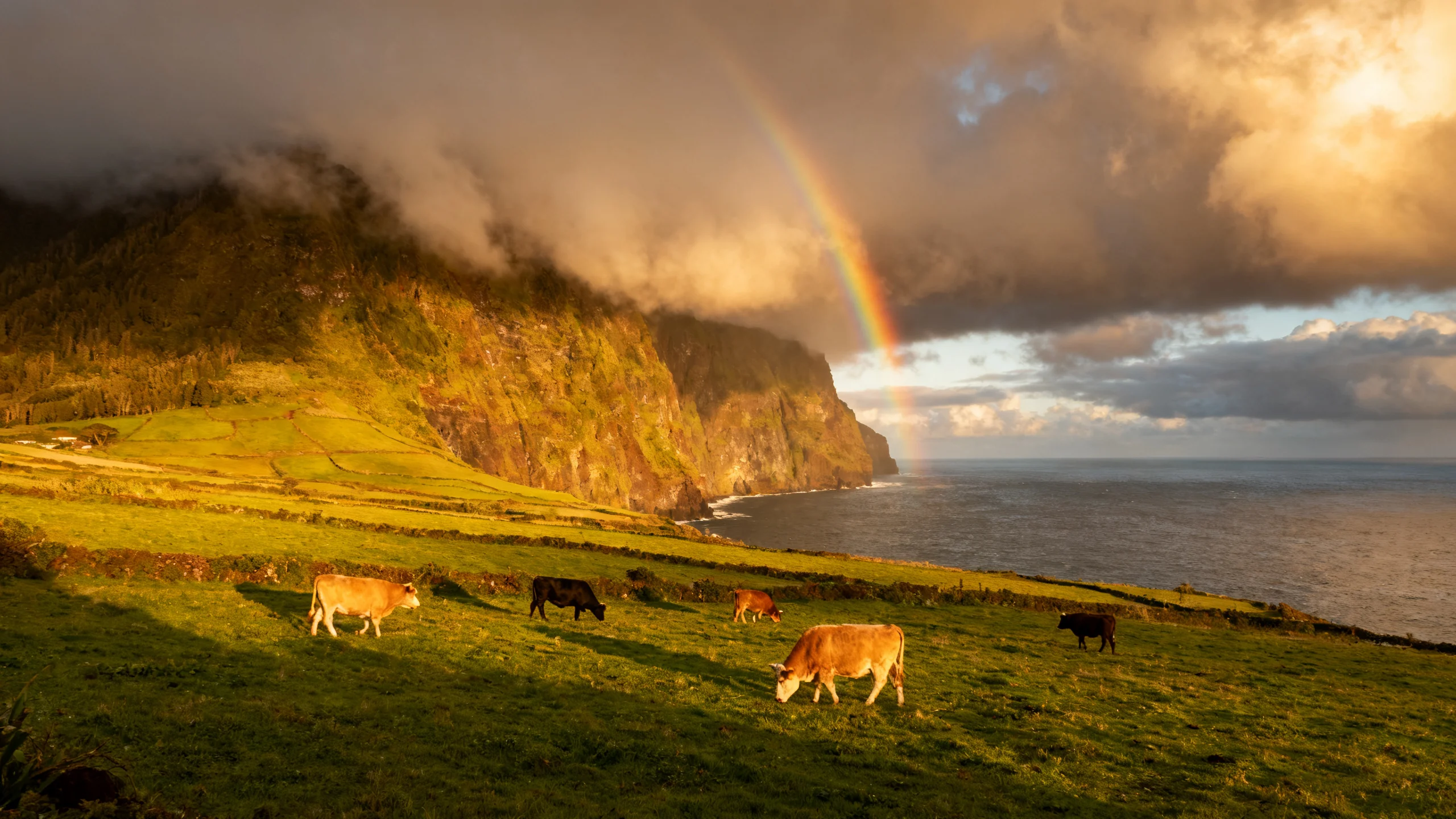 Dramatic Atlantic weather over a coastal cliff in São Miguel, Azores, with low cloud and mist rolling in from the ocean, a rainbow forming over the green pastures behind, late-afternoon golden light breaking through the clouds in patches